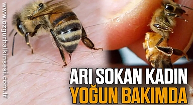 ARI SOKAN KADIN YOĞUN BAKIMDA