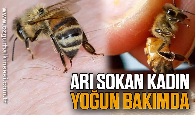ARI SOKAN KADIN YOĞUN BAKIMDA