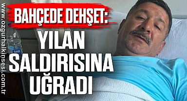 Bahçede Dehşet: Yılan Saldırısına Uğradı