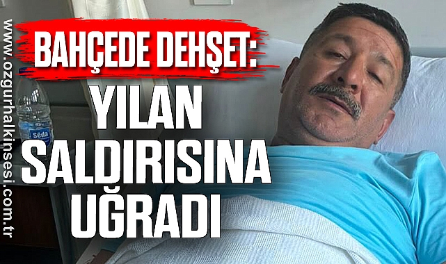 Bahçede Dehşet: Yılan Saldırısına Uğradı