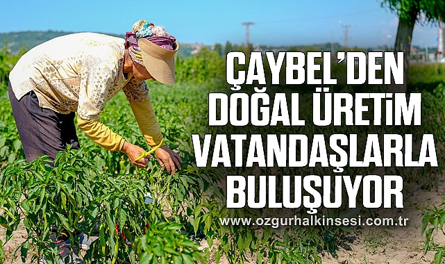 ÇAYBEL’DEN DOĞAL ÜRETİM VATANDAŞLARLA BULUŞUYOR