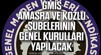 GMİS AMASRA VE KOZLU ŞUBELERİNİN GENEL KURULLARI YAPILACAK