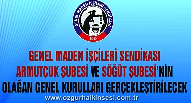GMİS ARMUTÇUK VE SÖĞÜT ŞUBELERİNİN GENEL KURULLARI YAPILACAK