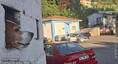 Günün Fotoğrafı...