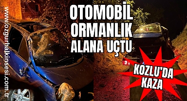 Kozlu'da kaza: Otomobil ormanlık alanı uçtu