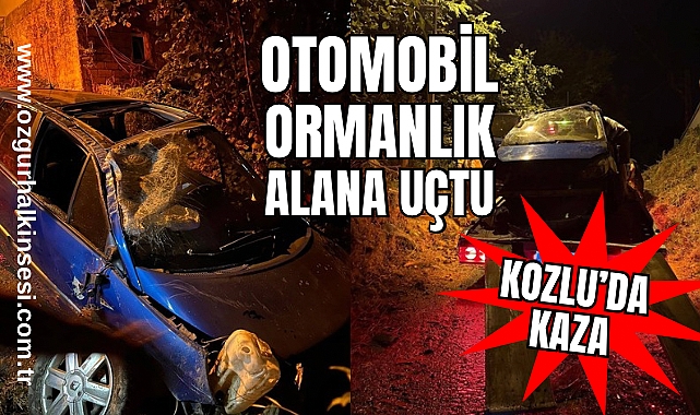 Kozlu'da kaza: Otomobil ormanlık alanı uçtu