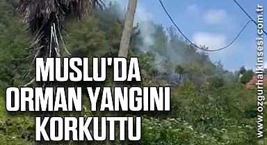 Muslu'da Orman Yangını Korkuttu