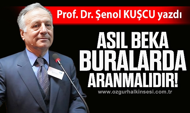 ASIL BEKA BURALARDA ARANMALIDIR!